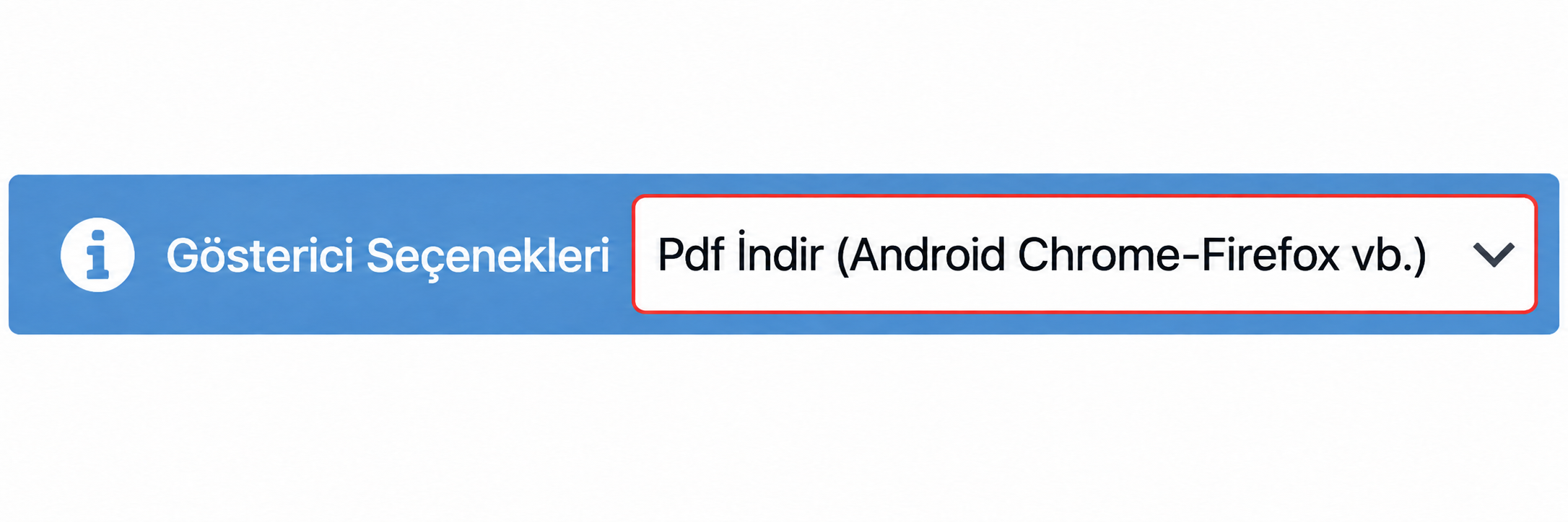 Gösterici Seçenekleri listesindeki Pdf İndir seçeneği.